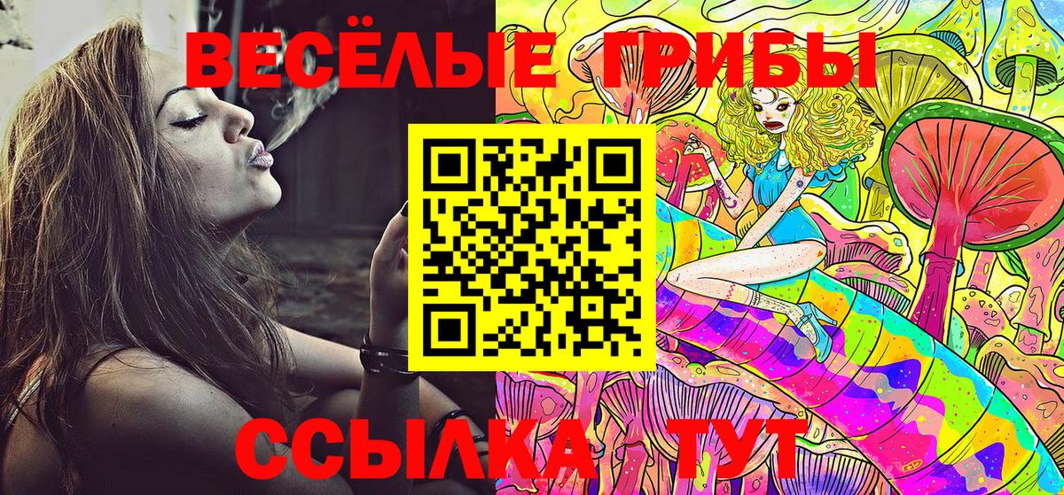 Коломна  Галлюциногенные грибы Magic Shrooms  Вход с VPN  Галлюциногенные грибы Psilocybe 
