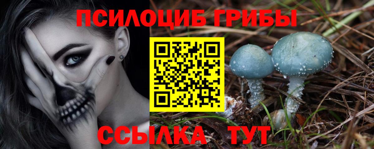 Галлюциногенные грибы Cubensis Коломна